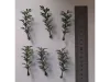 Picture of 1/35 Small Tree Type 1 (High Quality Plastic Plants) - Reality in Scale PP014