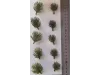 Picture of 1/35 Desert Bushes Type 1 (High Quality Plastic Plants) - Reality in Scale PP016