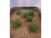 Picture of 1/35 Desert Bushes Type 1 (High Quality Plastic Plants) - Reality in Scale PP016