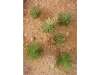 Picture of 1/35 Desert Bushes Type 1 (High Quality Plastic Plants) - Reality in Scale PP016