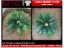 Picture of 1/35 Large Desert Plant (High Quality Plastic Plants) - Reality in Scale PP018