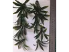 Picture of 1/35 Large Desert Plant (High Quality Plastic Plants) - Reality in Scale PP018