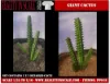 Picture of 1/35 Giant Cactus Set (High Quality Plastic Plants) - Reality in Scale PP019