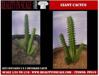 Picture of 1/35 Giant Cactus Set (High Quality Plastic Plants) - Reality in Scale PP019