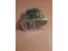 Picture of 1/35 Jungle Plant Set 1 – 2 Different Plants (High Quality Plastic Plants) - Reality in Scale PP020