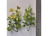 Picture of 1/35 Jungle Plant Set 1 – 2 Different Plants (High Quality Plastic Plants) - Reality in Scale PP020