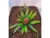 Picture of 1/35 Jungle Plant Set 2 – 2 Different Plants (High Quality Plastic Plants) - Reality in Scale PP021
