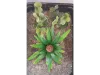 Picture of 1/35 Jungle Plant Set 2 – 2 Different Plants (High Quality Plastic Plants) - Reality in Scale PP021