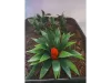 Picture of 1/35 Jungle Plant Set 3 – 2 Different Plants (High Quality Plastic Plants) - Reality in Scale PP022