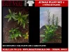 Picture of 1/35 Jungle Plant Set 4 – 2 Different Plants (High Quality Plastic Plants) - Reality in Scale PP023