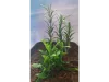 Picture of 1/35 Jungle Plant Set 4 – 2 Different Plants (High Quality Plastic Plants) - Reality in Scale PP023