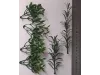 Picture of 1/35 Jungle Plant Set 4 – 2 Different Plants (High Quality Plastic Plants) - Reality in Scale PP023