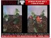 Picture of 1/35 Jungle Plant Set 5 – 2 Different Plants (High Quality Plastic Plants) - Reality in Scale PP024