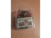 Picture of 1/35 Jungle Plant Set 5 – 2 Different Plants (High Quality Plastic Plants) - Reality in Scale PP024