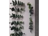 Picture of 1/35 Jungle Plant Set 5 – 2 Different Plants (High Quality Plastic Plants) - Reality in Scale PP024