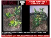 Picture of 1/35 Jungle Plant Set 6 – 2 Different Plants (High Quality Plastic Plants) - Reality in Scale PP025