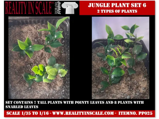 Picture of 1/35 Jungle Plant Set 6 – 2 Different Plants (High Quality Plastic Plants) - Reality in Scale PP025