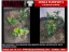 Picture of 1/35 Jungle Plant Set 6 – 2 Different Plants (High Quality Plastic Plants) - Reality in Scale PP025
