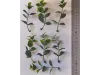 Picture of 1/35 Jungle Plant Set 6 – 2 Different Plants (High Quality Plastic Plants) - Reality in Scale PP025