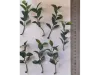 Picture of 1/35 Jungle Plant Set 6 – 2 Different Plants (High Quality Plastic Plants) - Reality in Scale PP025