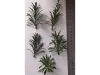 Picture of 1/35 Large Jungle Plant Type 1 (High Quality Plastic Plants) - Reality in Scale PP026