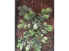Picture of 1/35 Large Jungle Plant Type 2 (High Quality Plastic Plants) - Reality in Scale PP027